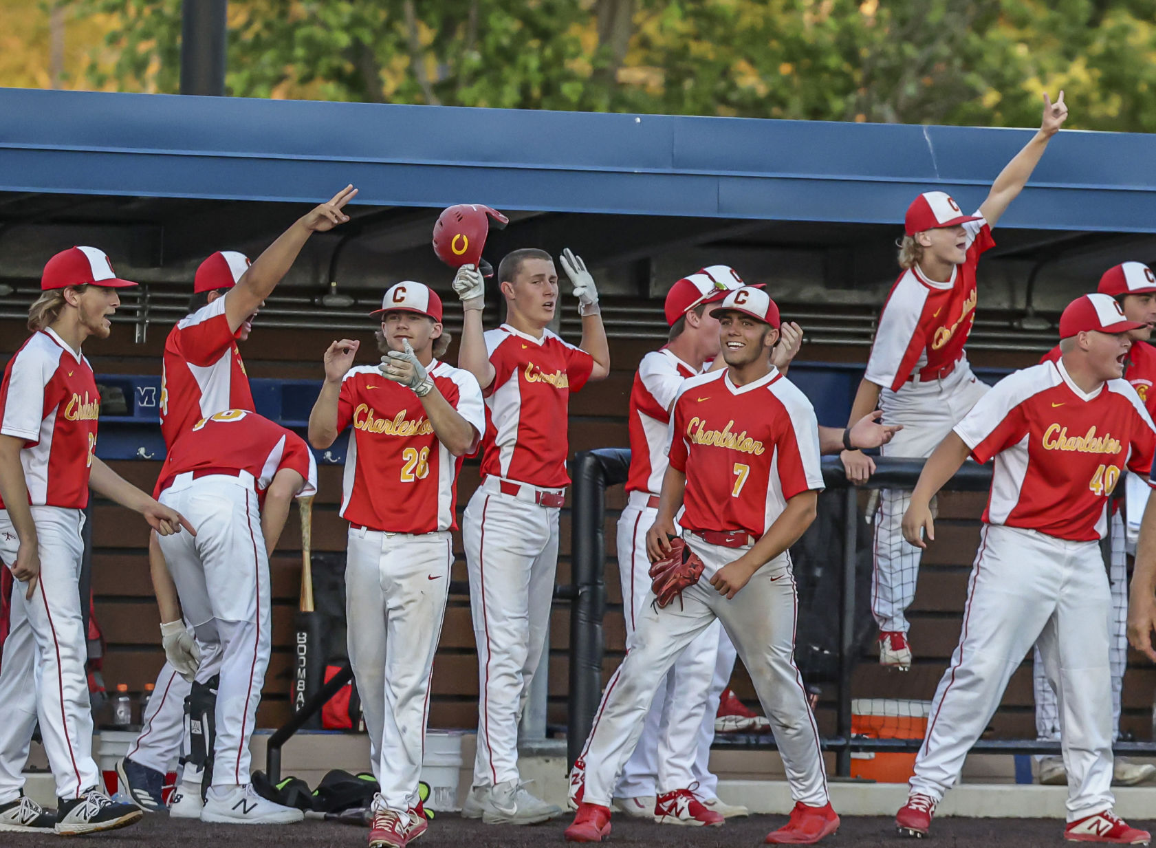 Charleston Springfield baseball gallery 25 061421.JPG